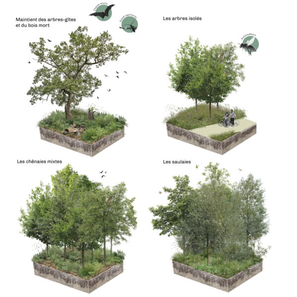 Boulevard Nature ZAC RIBAY-PAVILLON - ZB Paysages